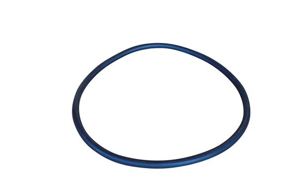 SEALS & GASKETS